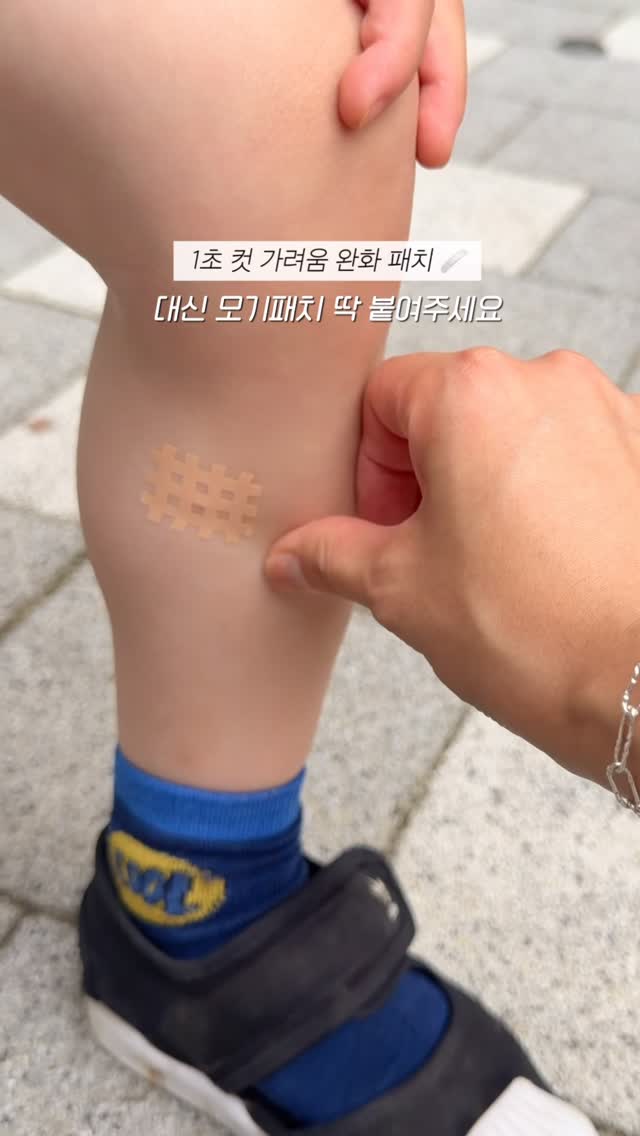 데일리룩
