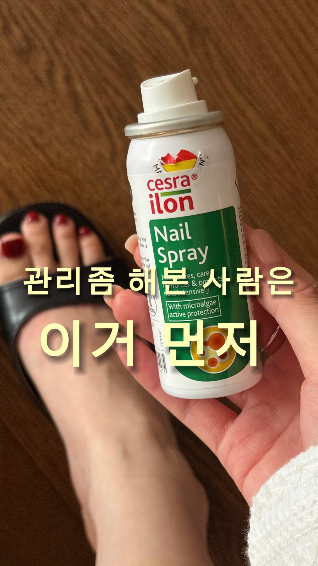 티라미수 쿠키