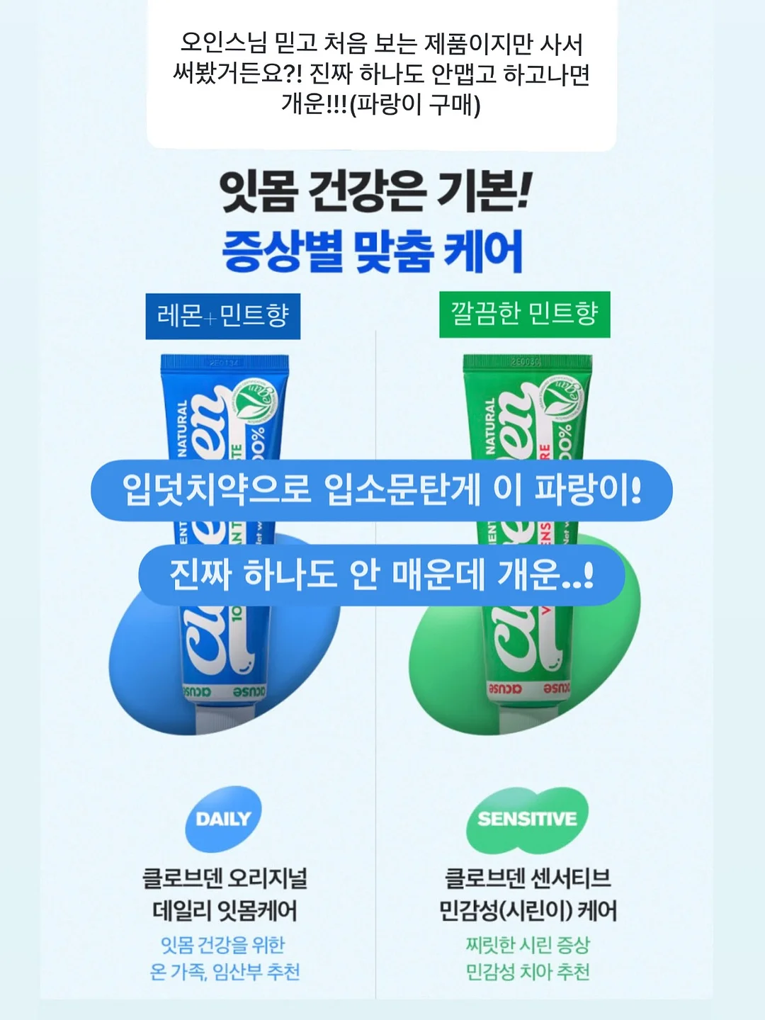 공룡 상하세트 + 가방 세트 13