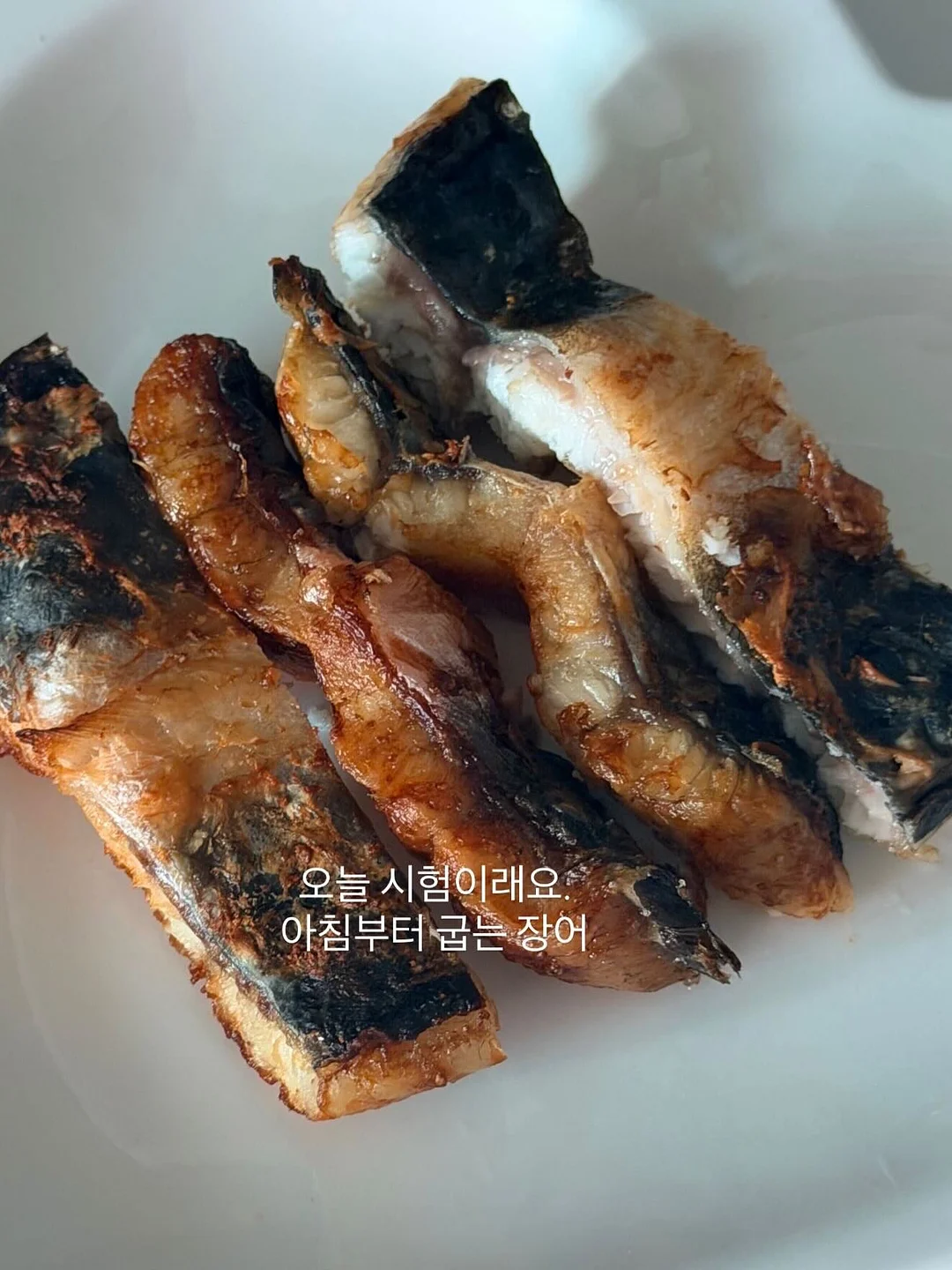 동물 병원 놀이 2