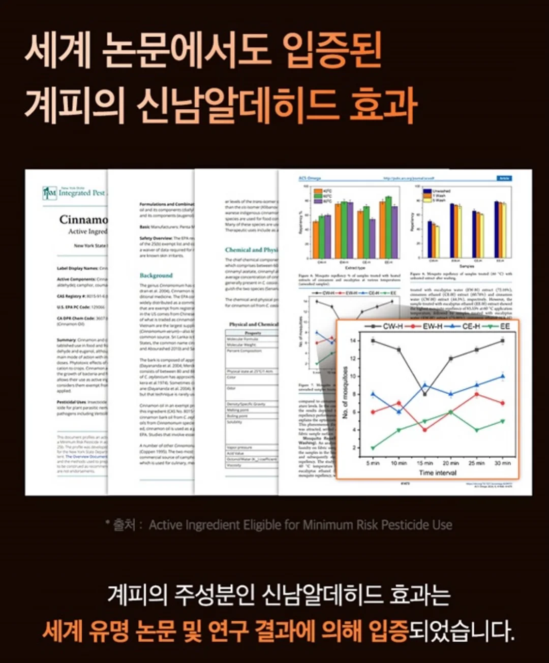 새우올리브파스타 13