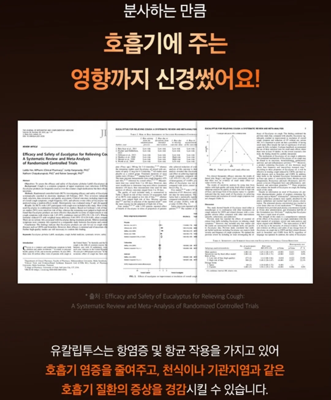 새우올리브파스타 14