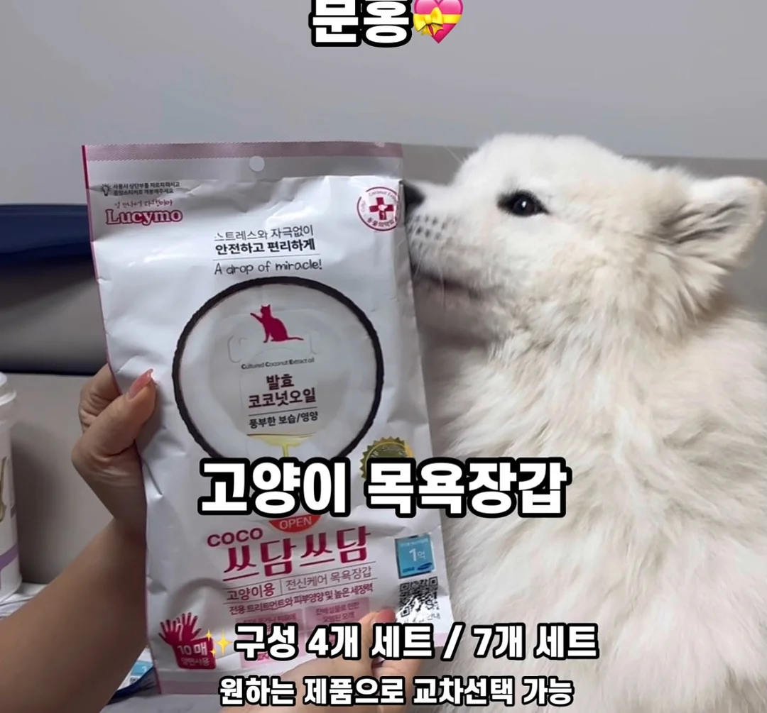 버틀러 물티슈 11