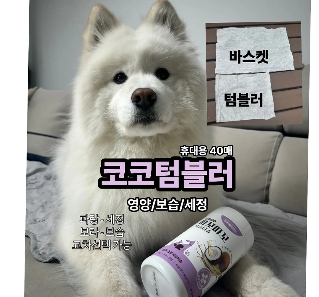 버틀러 물티슈 12