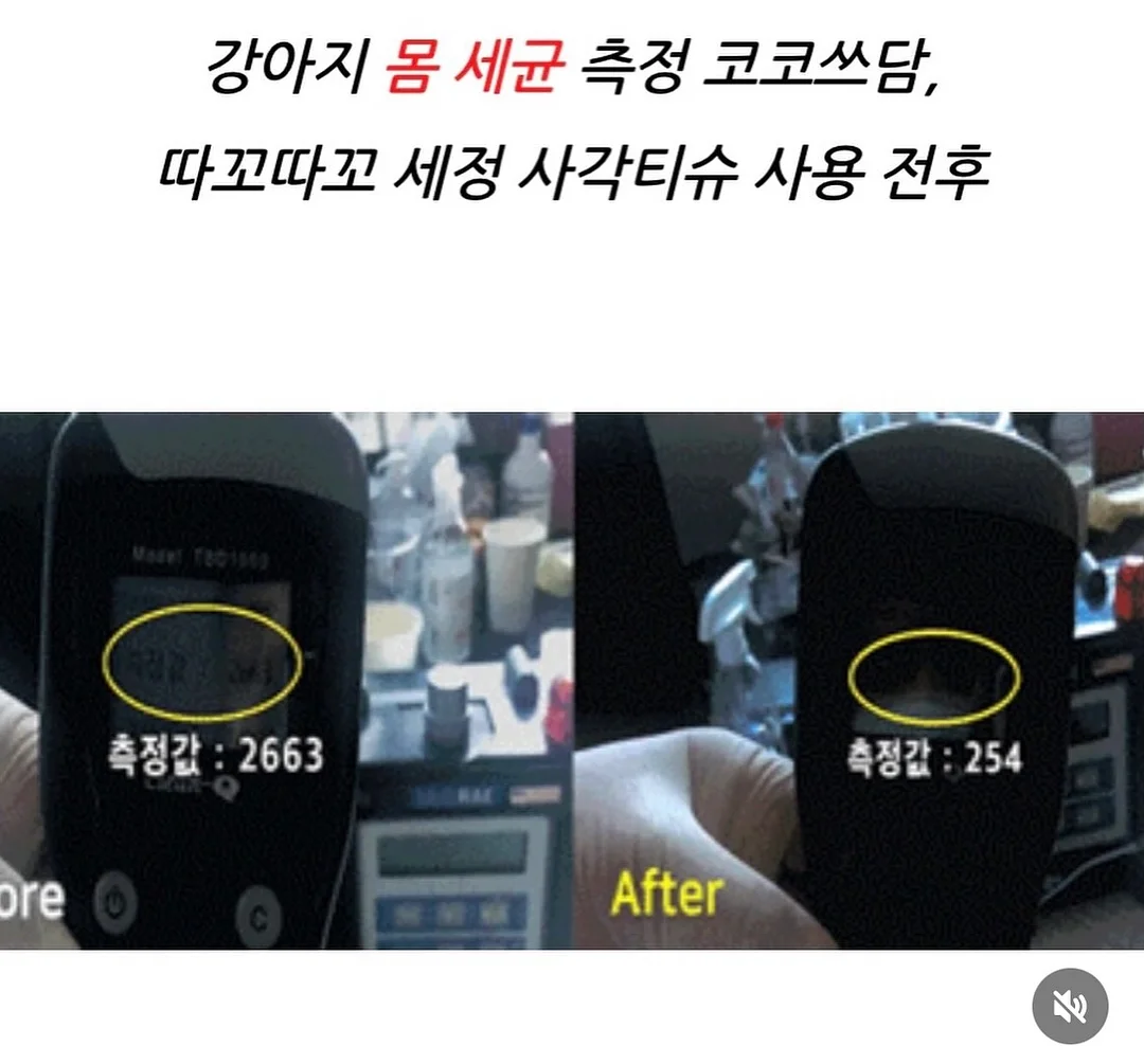 버틀러 물티슈 2