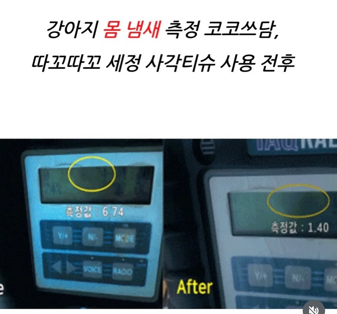 버틀러 물티슈 3