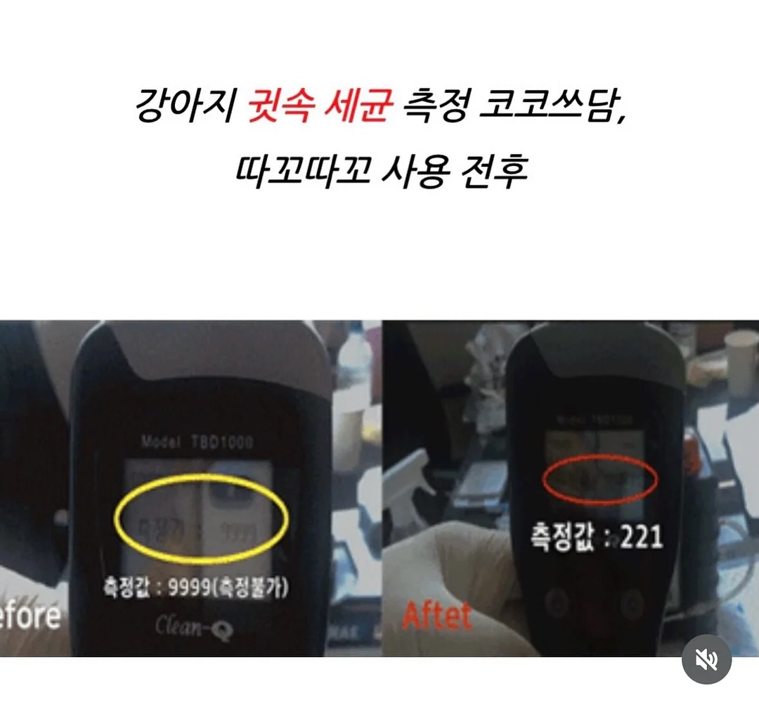 버틀러 물티슈 4