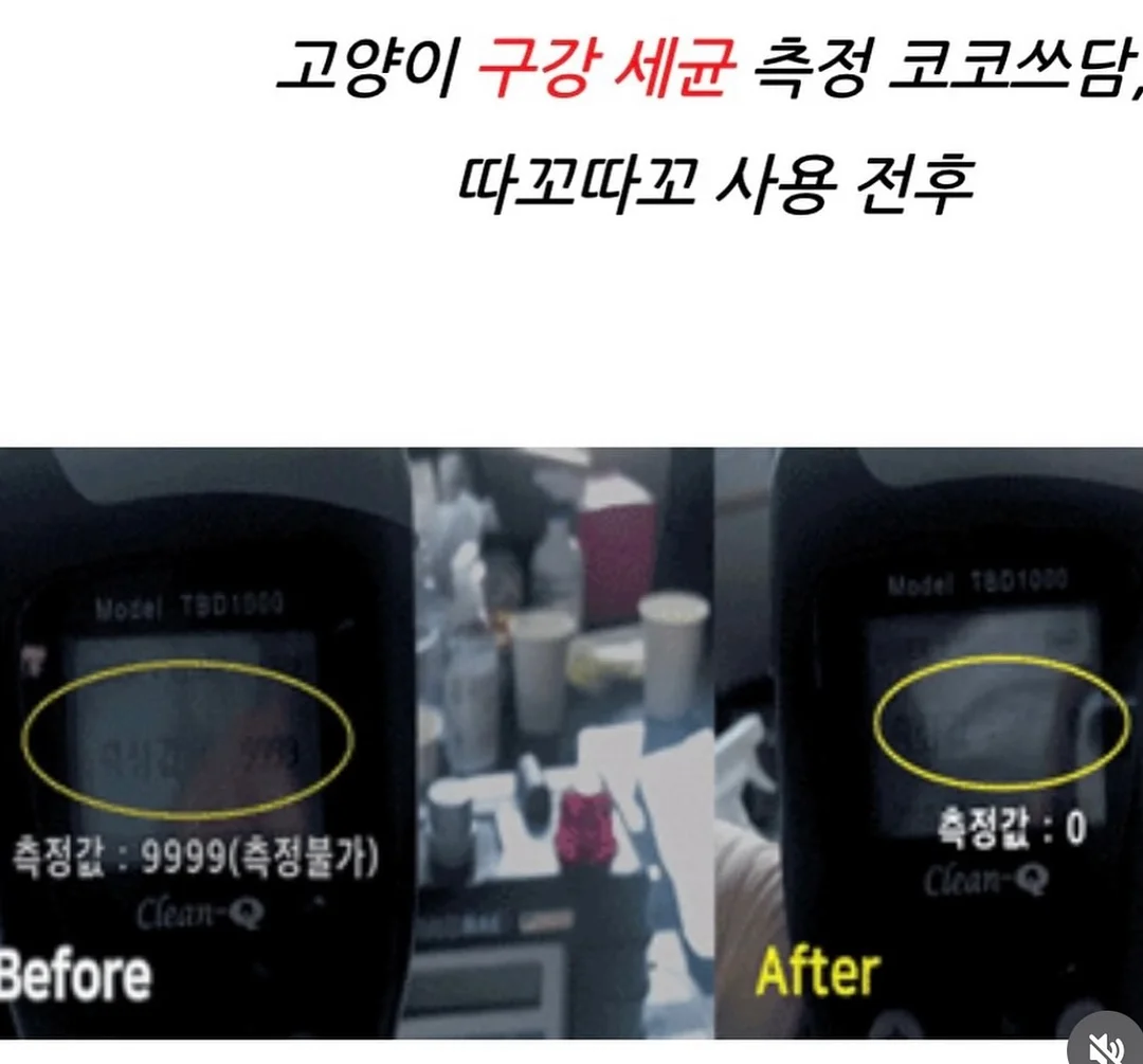 버틀러 물티슈 5