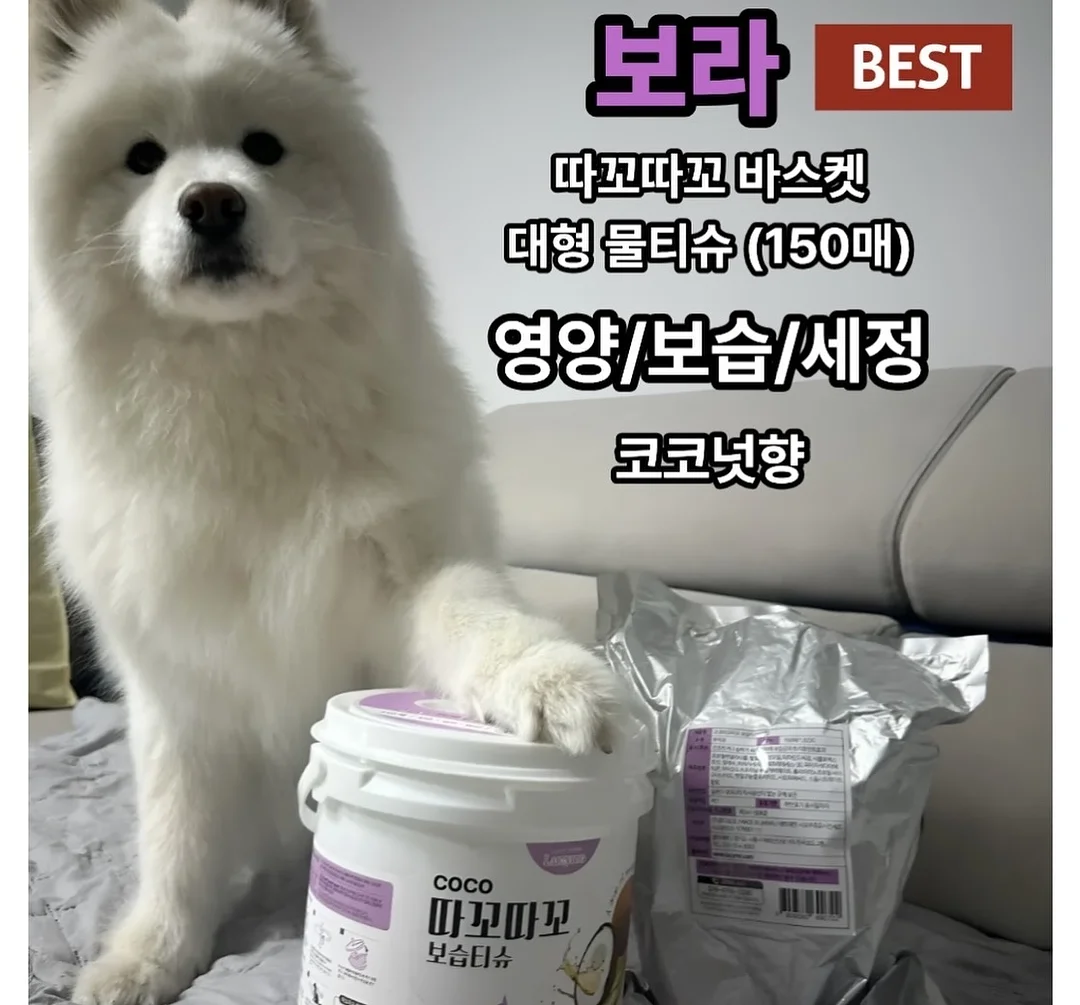 버틀러 물티슈 6