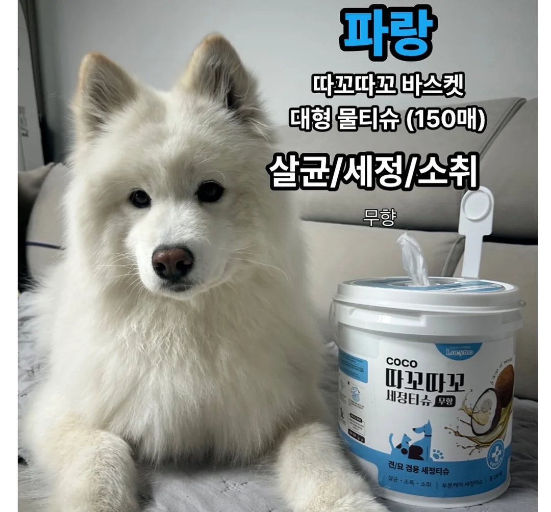 버틀러 물티슈 7