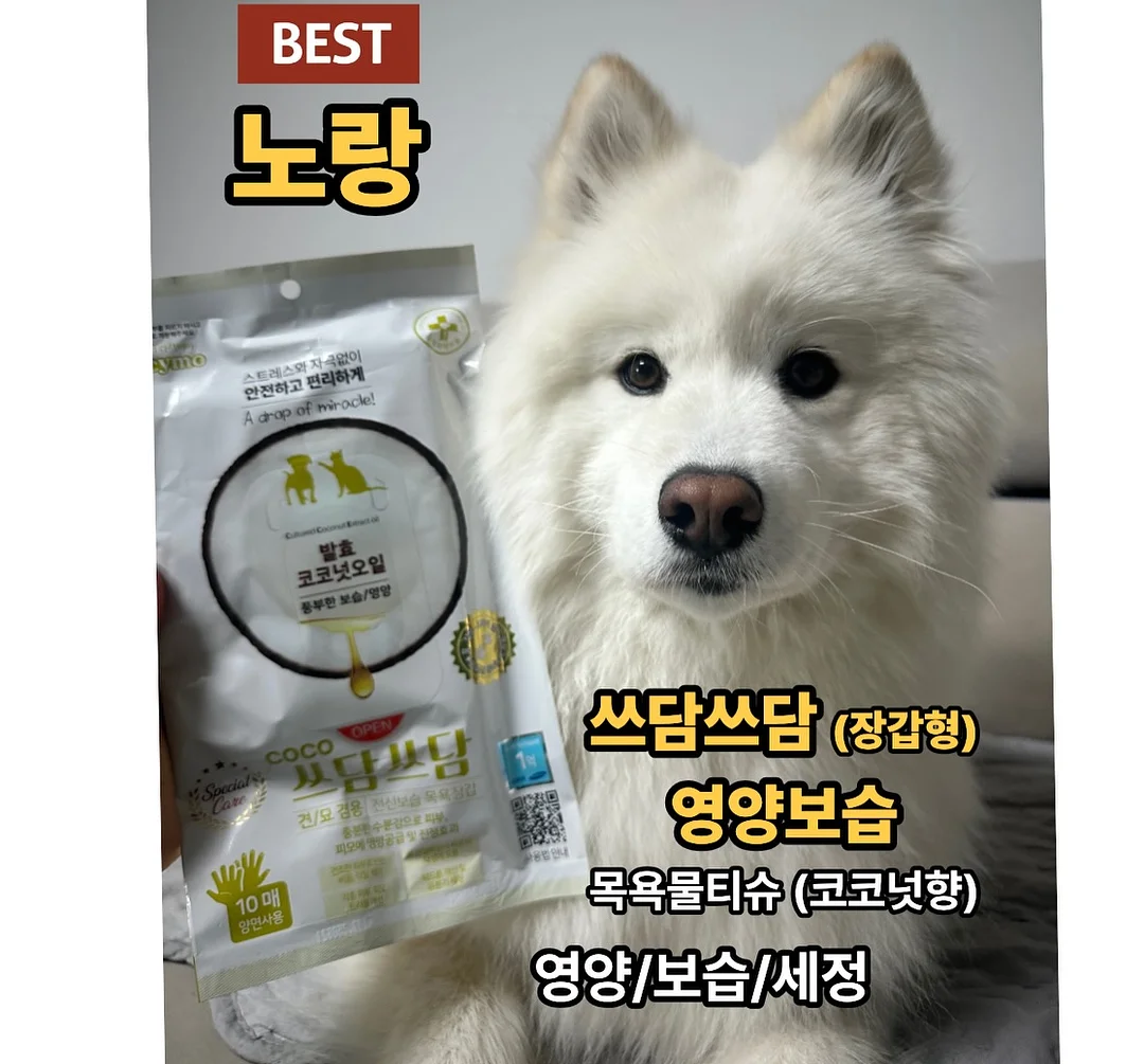 버틀러 물티슈 8