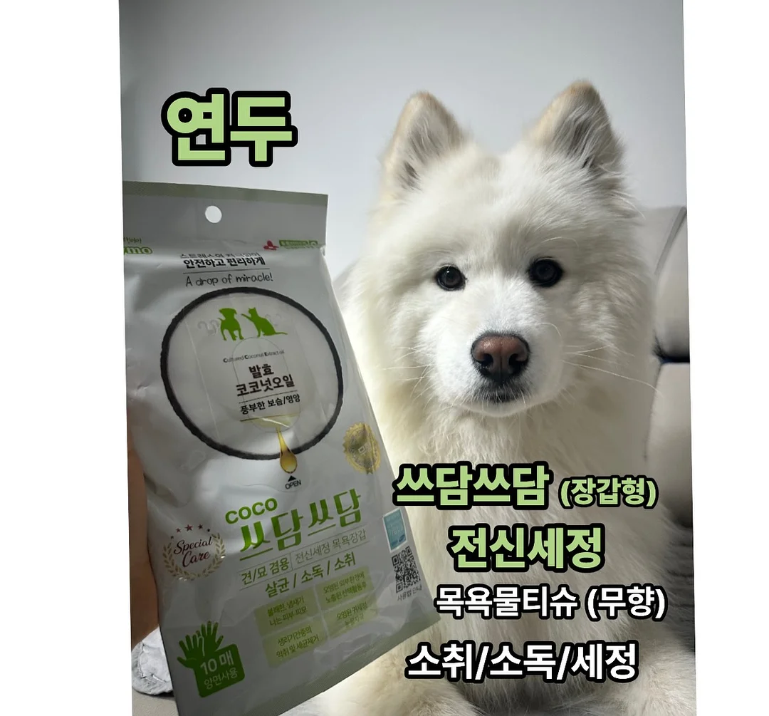 버틀러 물티슈 9