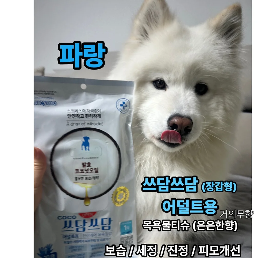 버틀러 물티슈 10