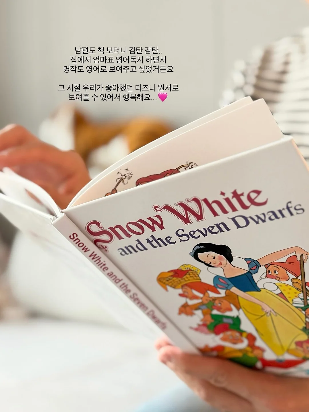 제올라이트 가습제 15