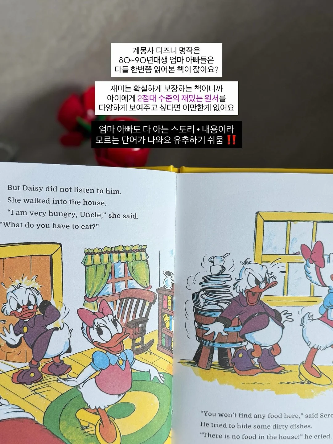 제올라이트 가습제 10