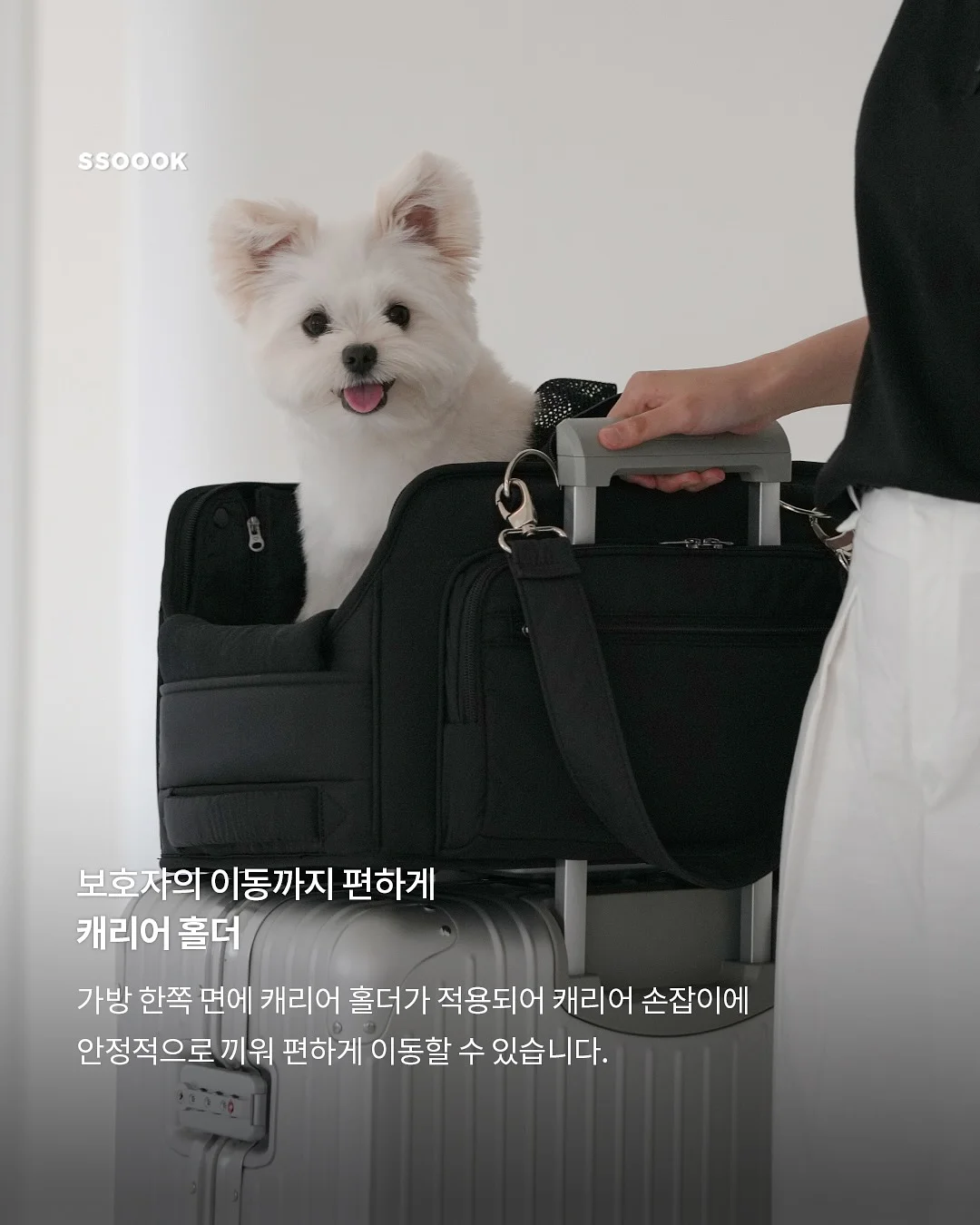 아오와 3