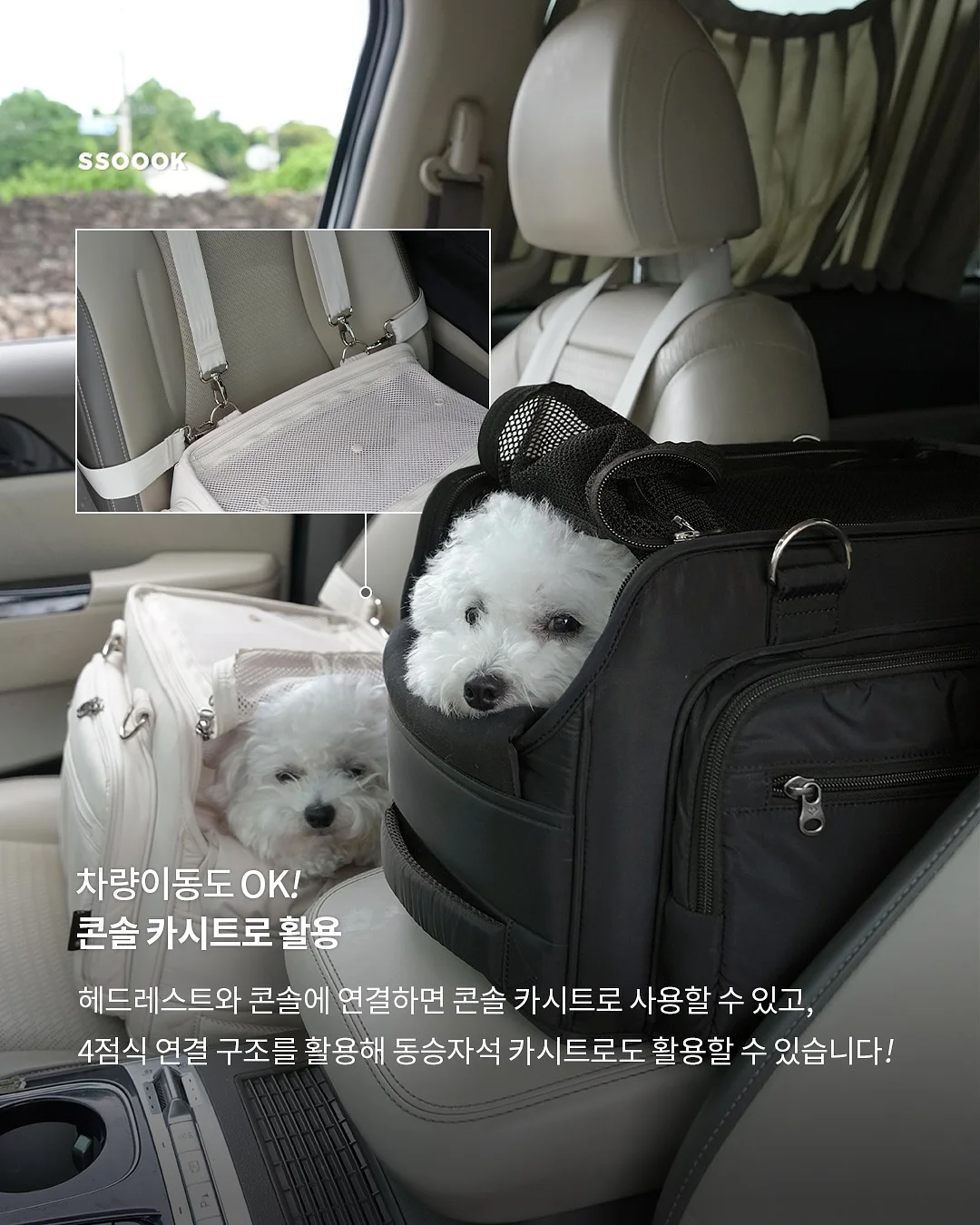 아오와 4