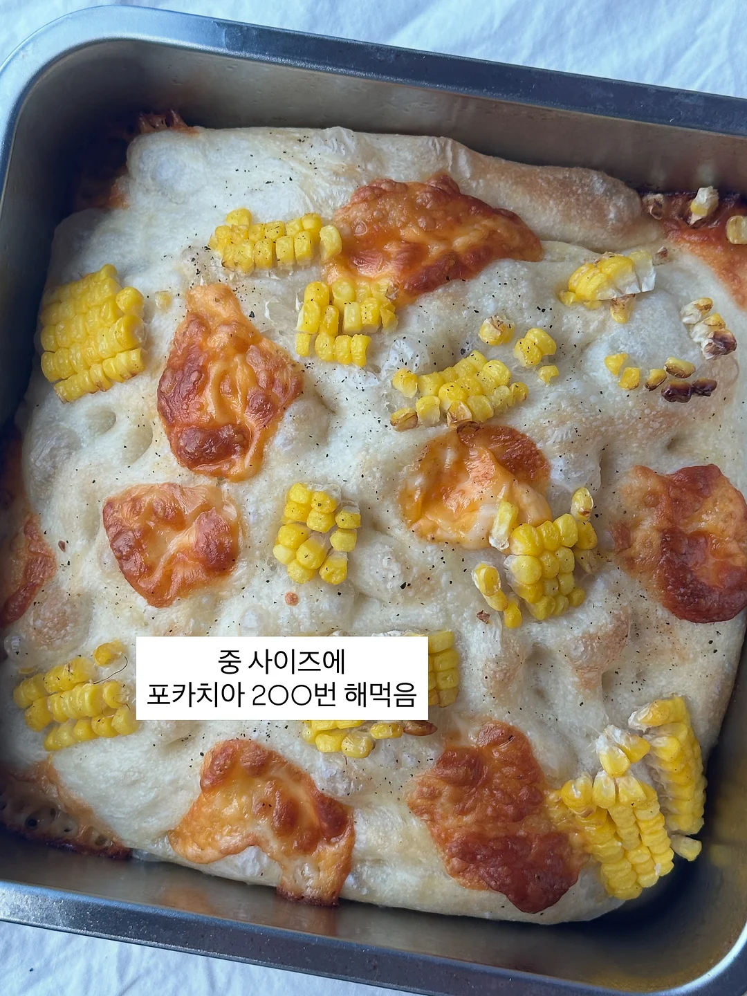 야당동 신축 단독주택 7