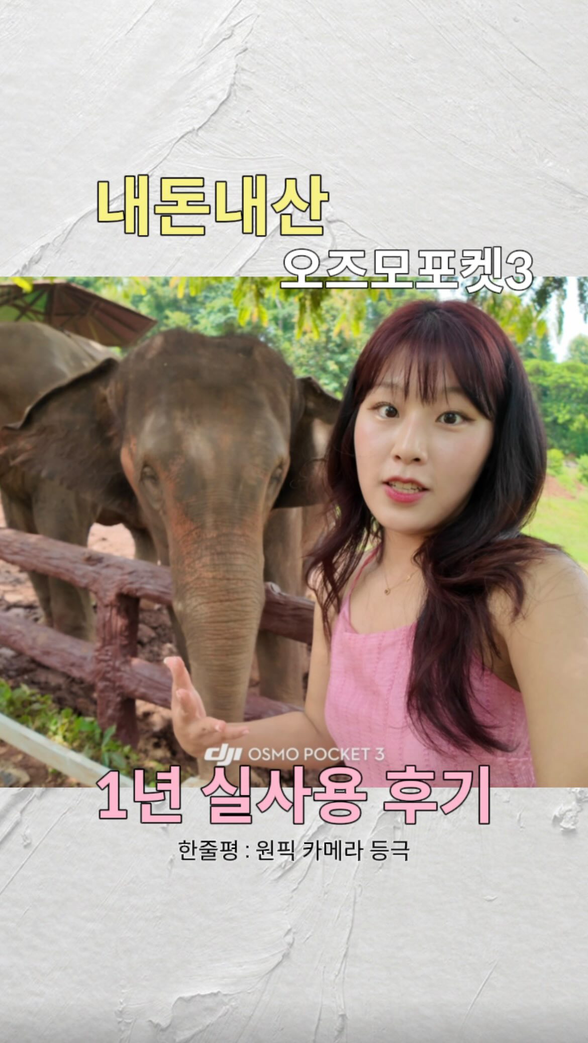 말차초코칩 파운드