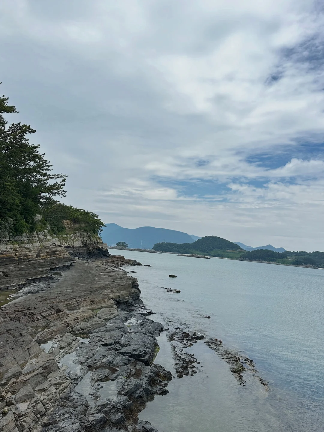베이직 텐셀 티셔츠 9