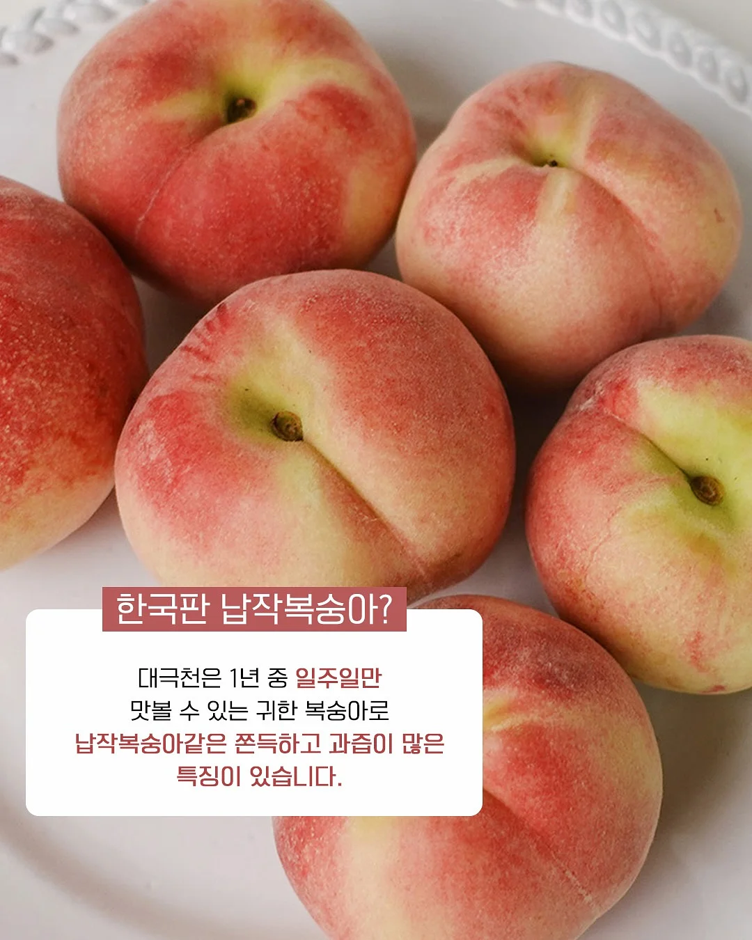 4인 포세린 세라믹 식탁 4