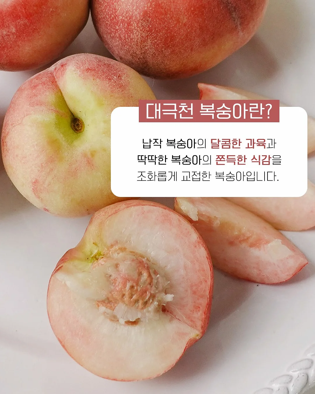 4인 포세린 세라믹 식탁 6