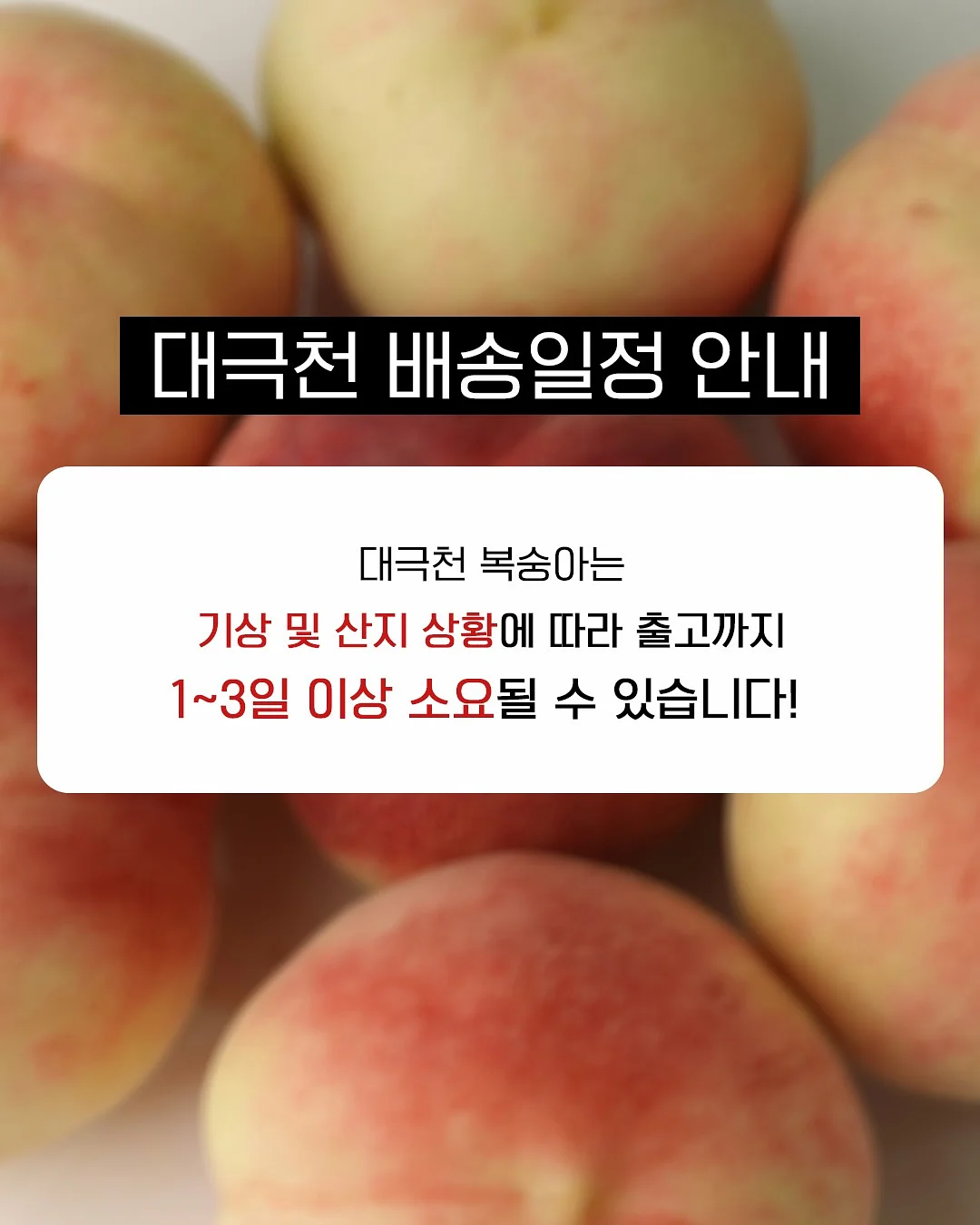 4인 포세린 세라믹 식탁 9