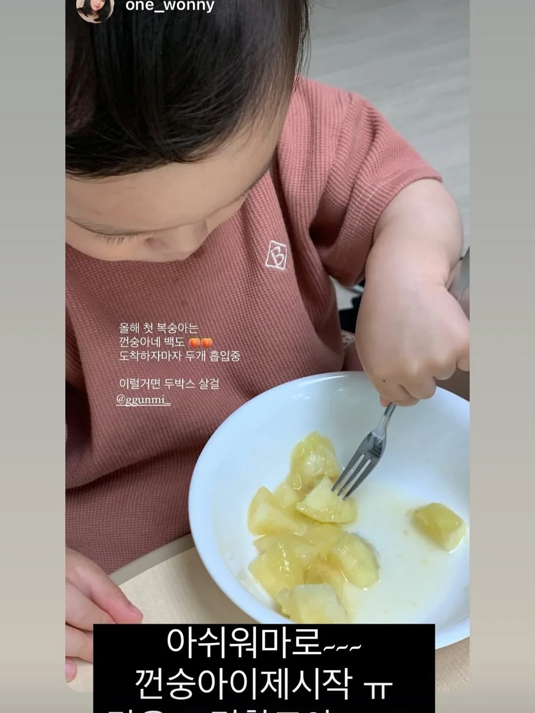 플레이시푸 택토체스 5
