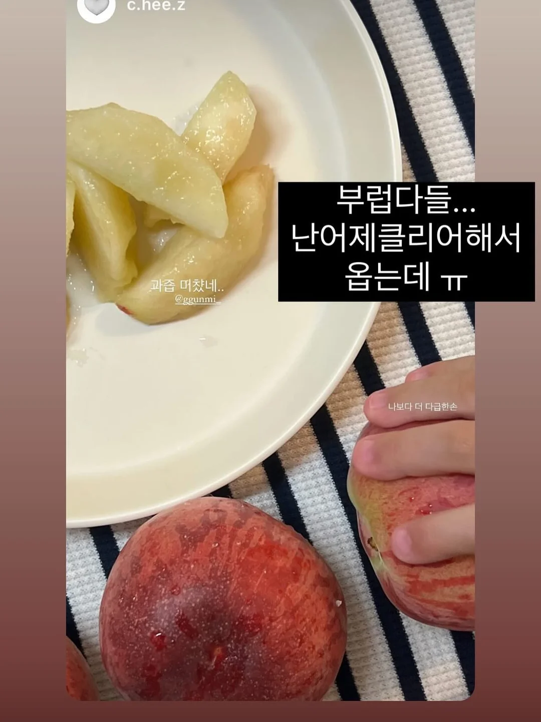 플레이시푸 택토체스 6