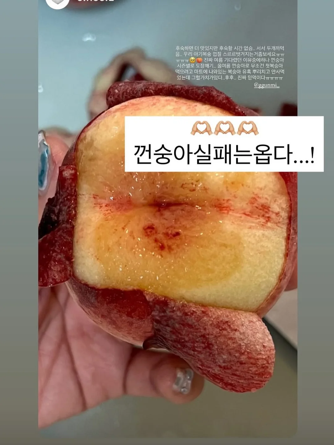 플레이시푸 택토체스 7