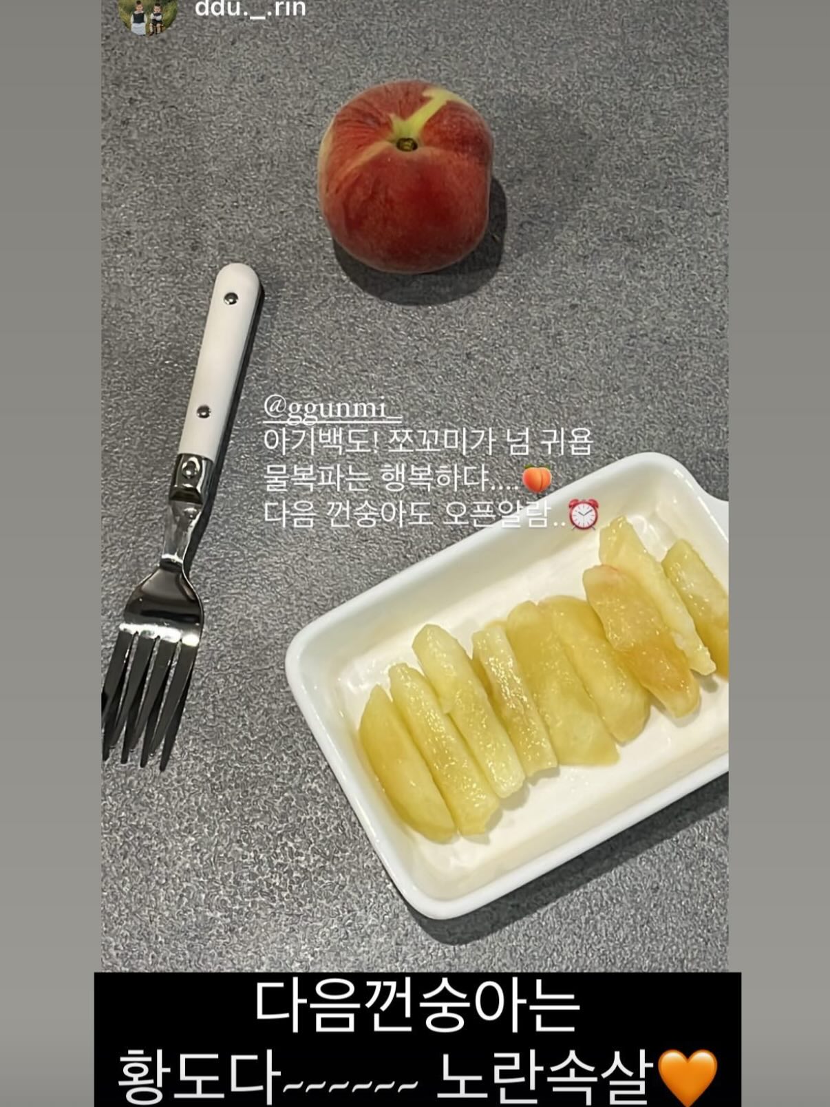 플레이시푸 택토체스 8