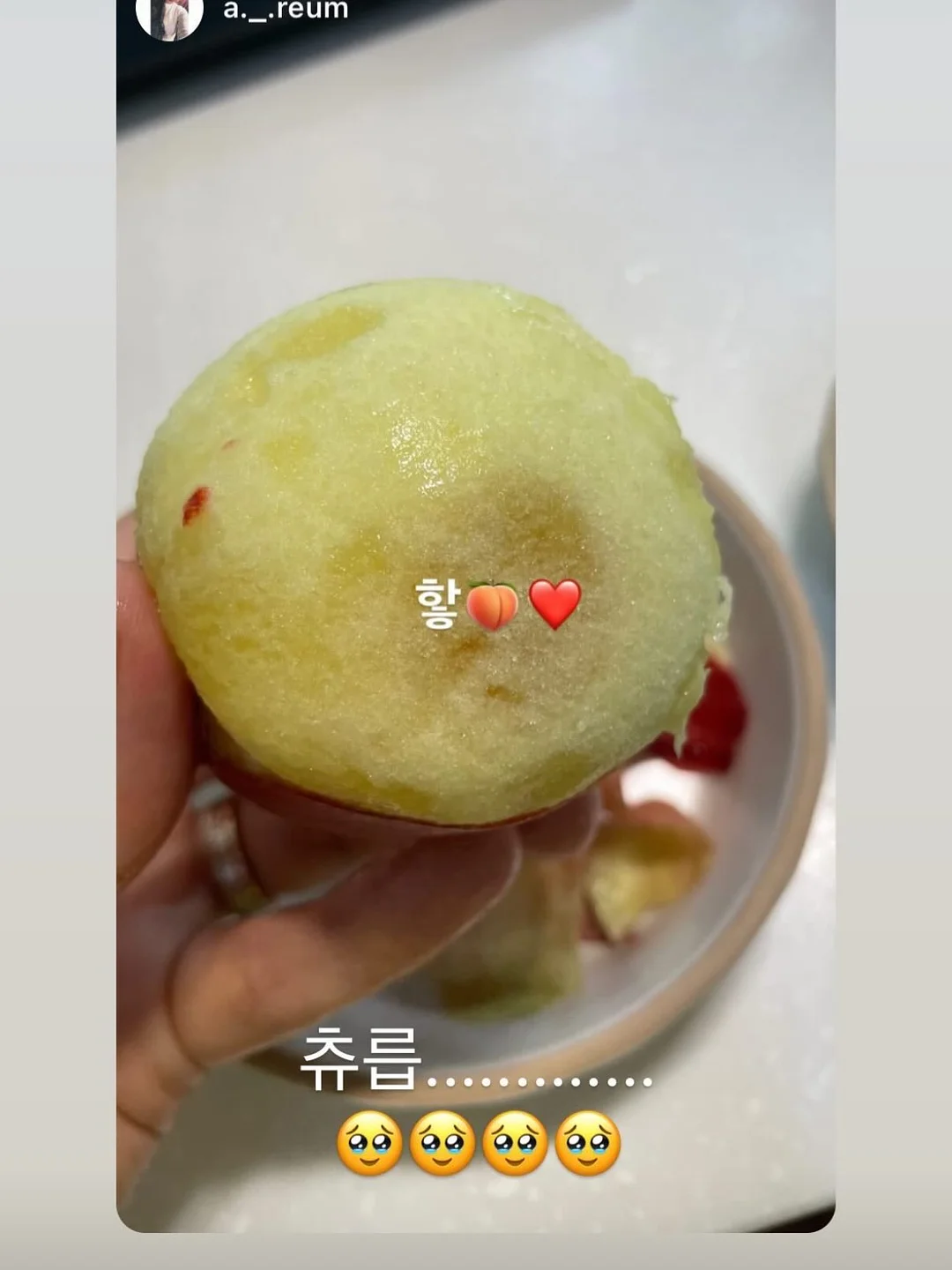 플레이시푸 택토체스 9