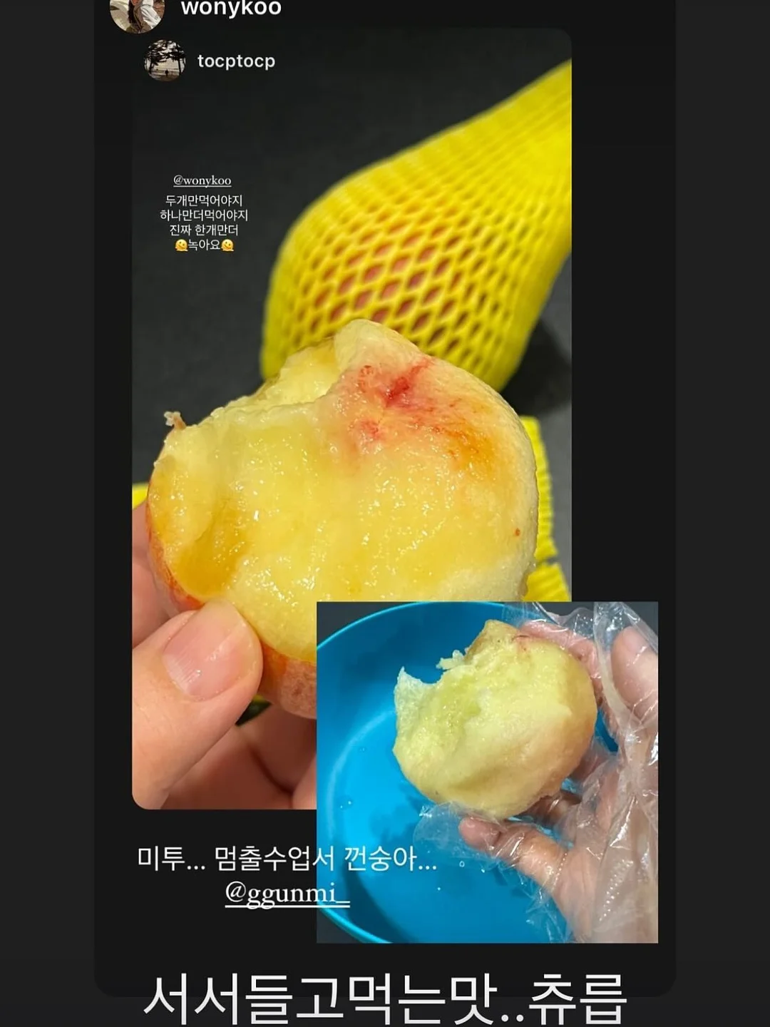 플레이시푸 택토체스 10