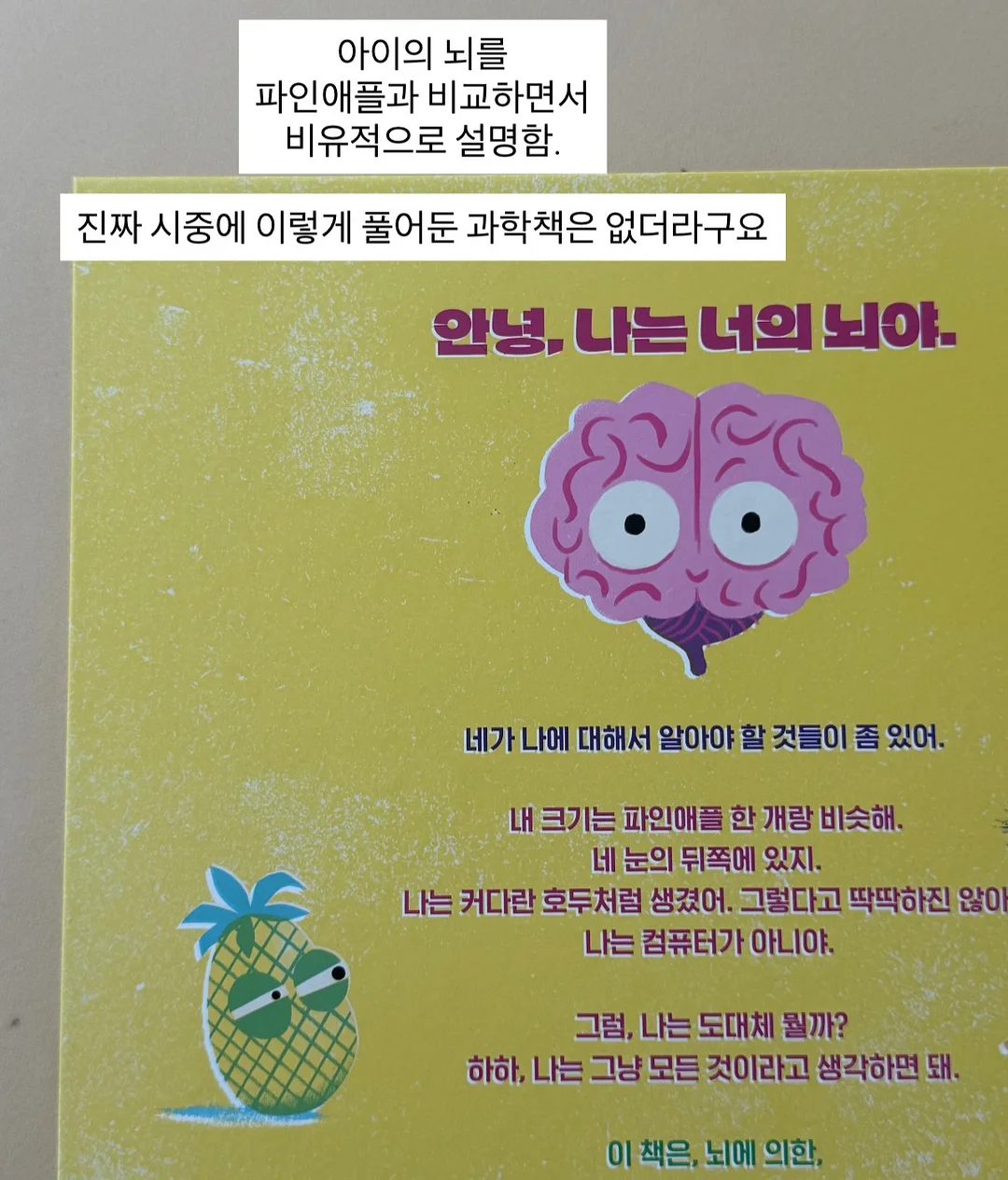 겨쿨 데일리 메이크업 꿀조합 3