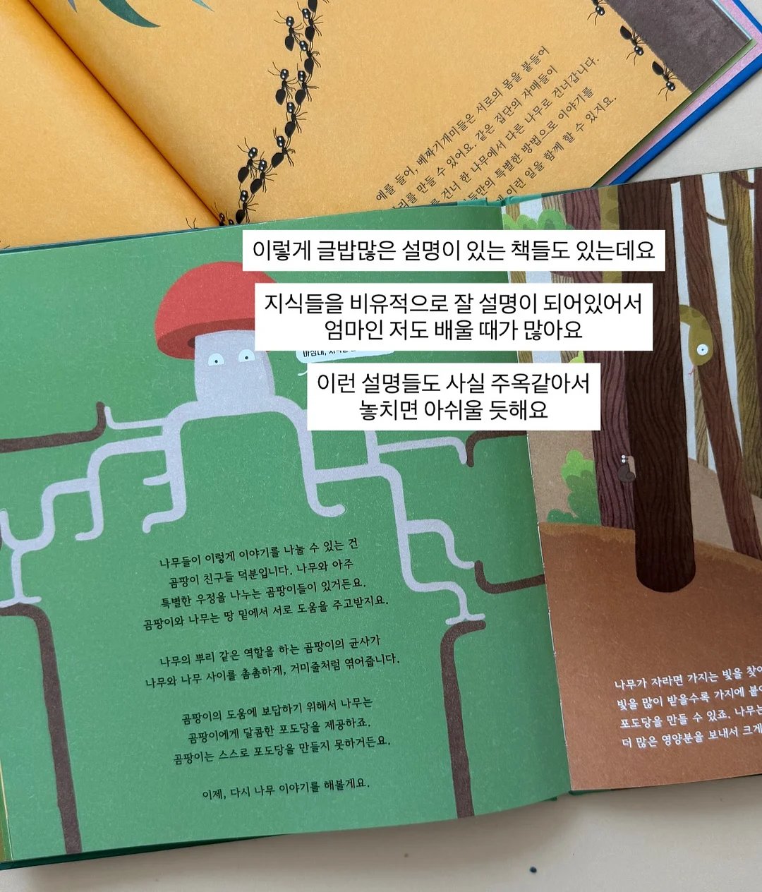 겨쿨 데일리 메이크업 꿀조합 9