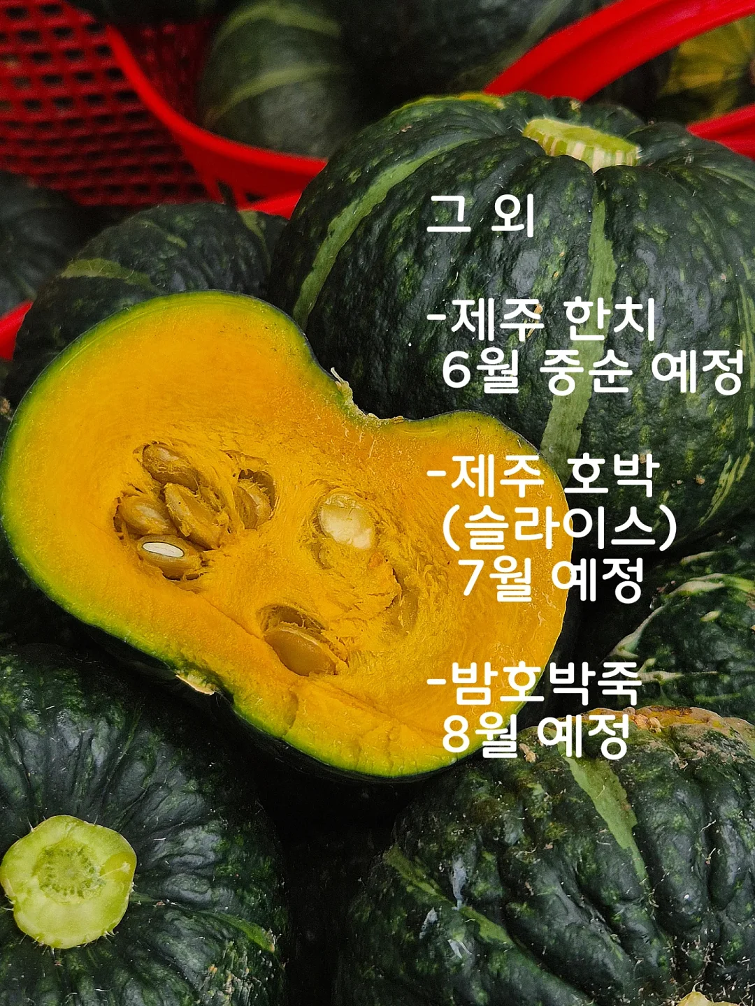 헤이그린스 에코리프포크 1