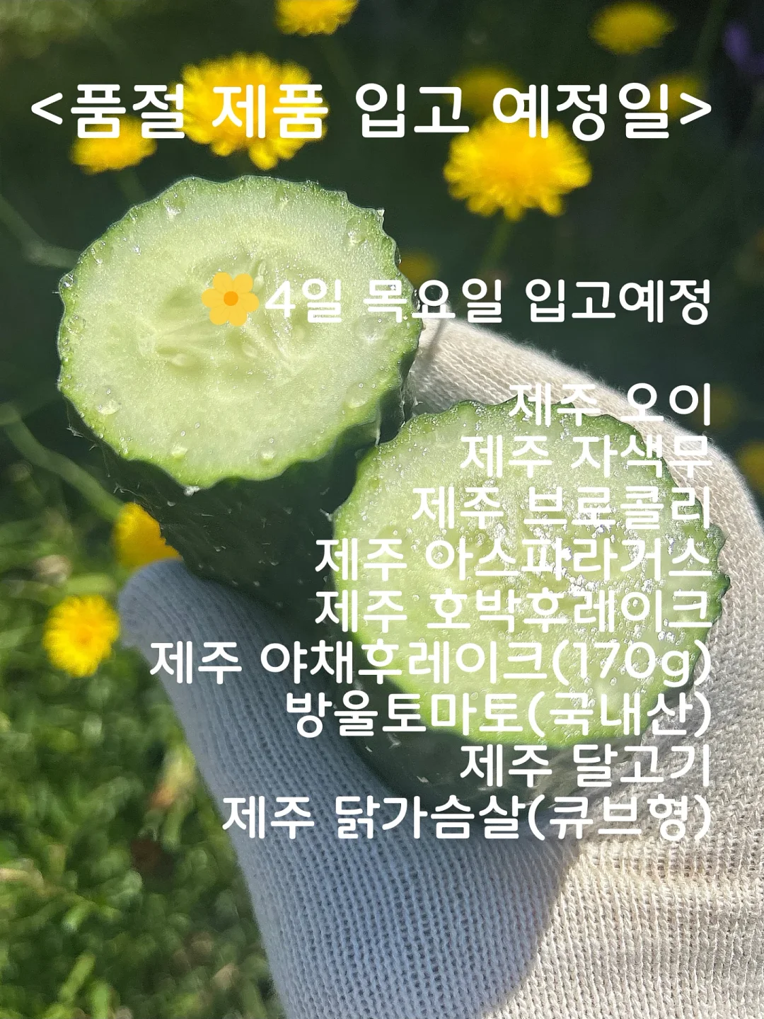 헤이그린스 에코리프포크 2