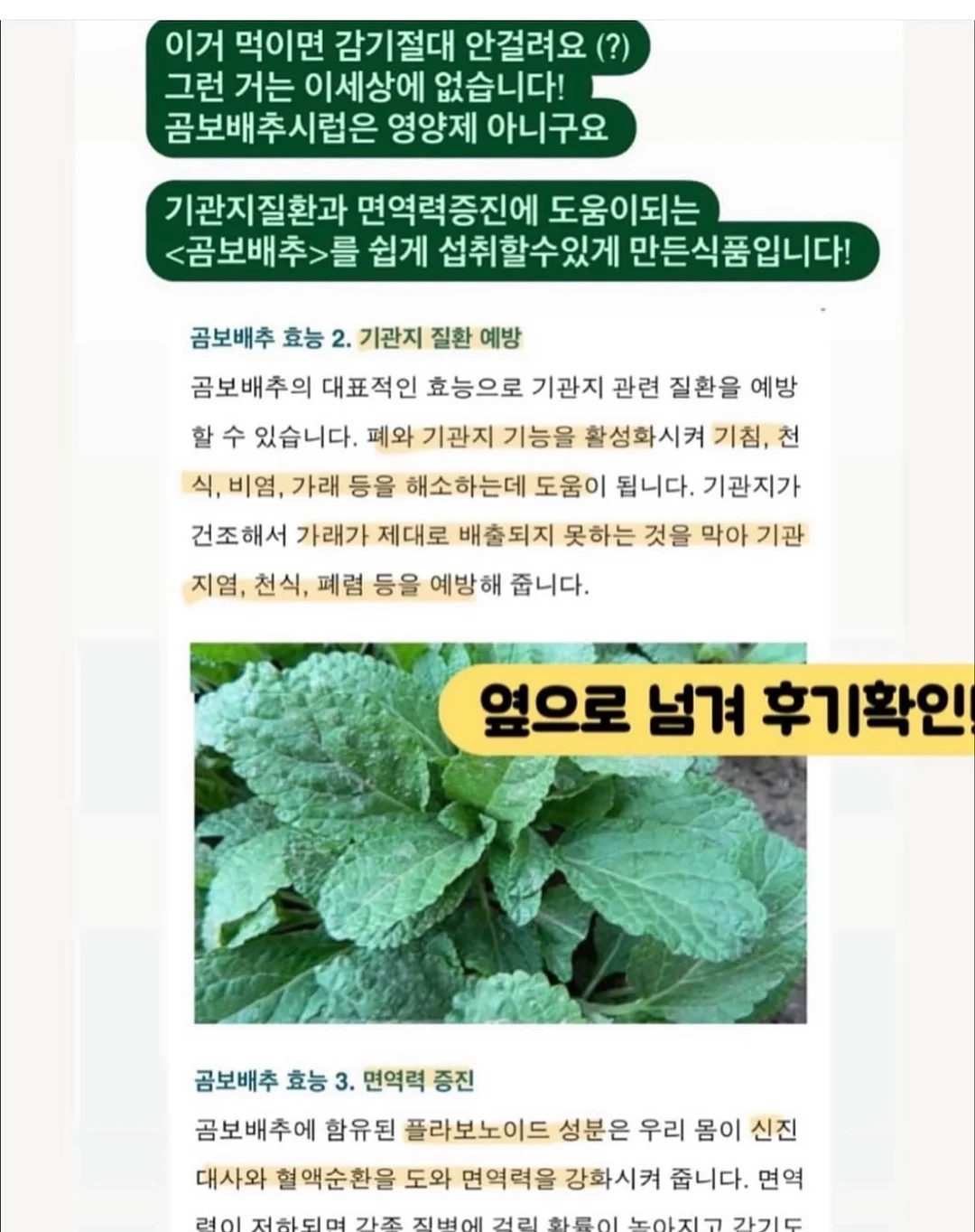 플리츠상의 5