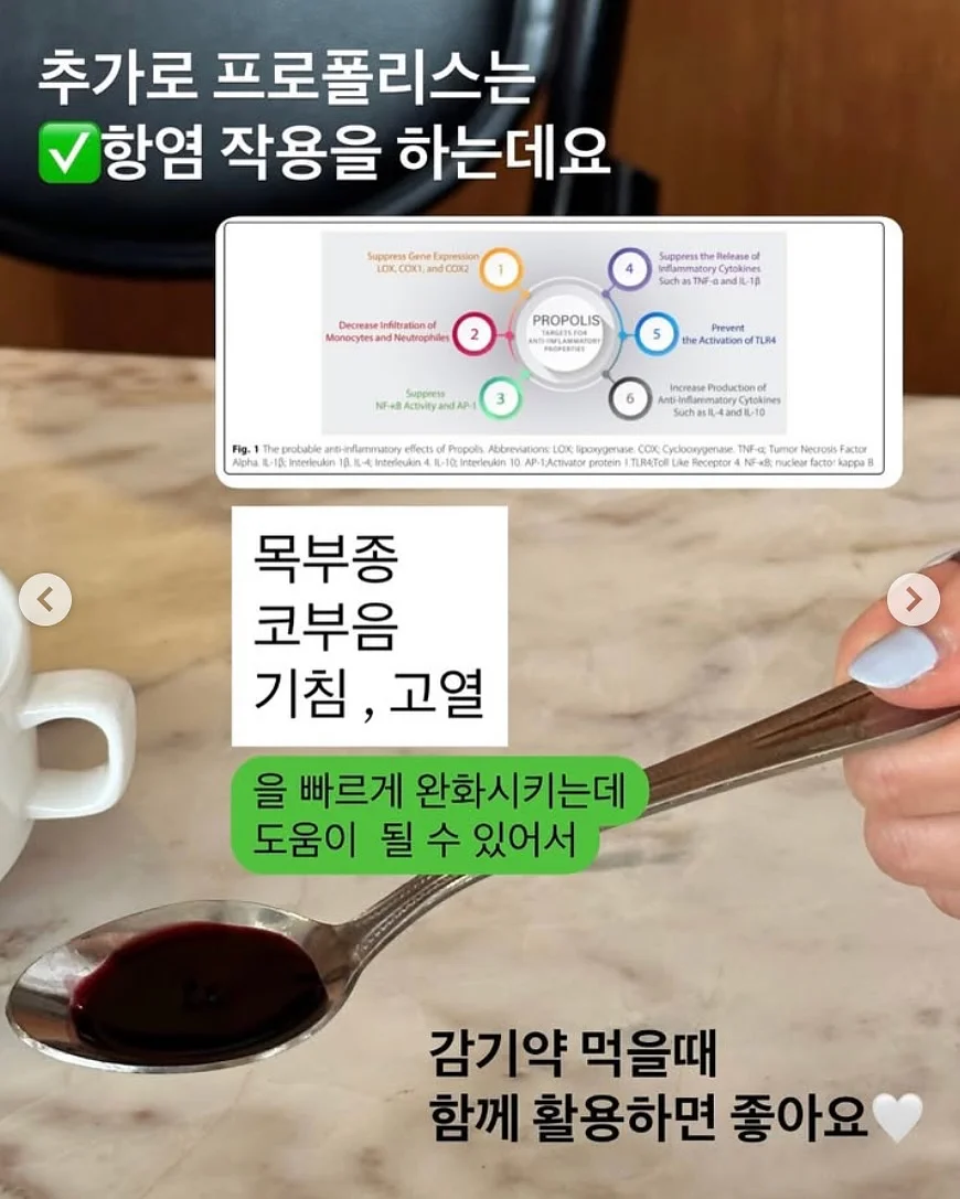 애사비효소 7