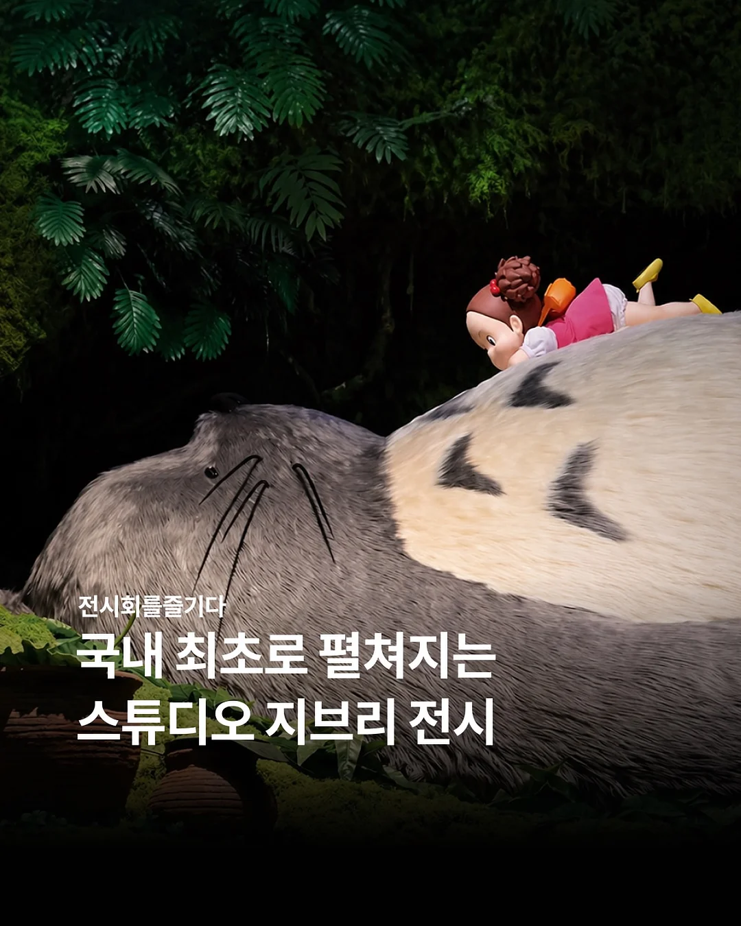 미니 미리오클라두스
