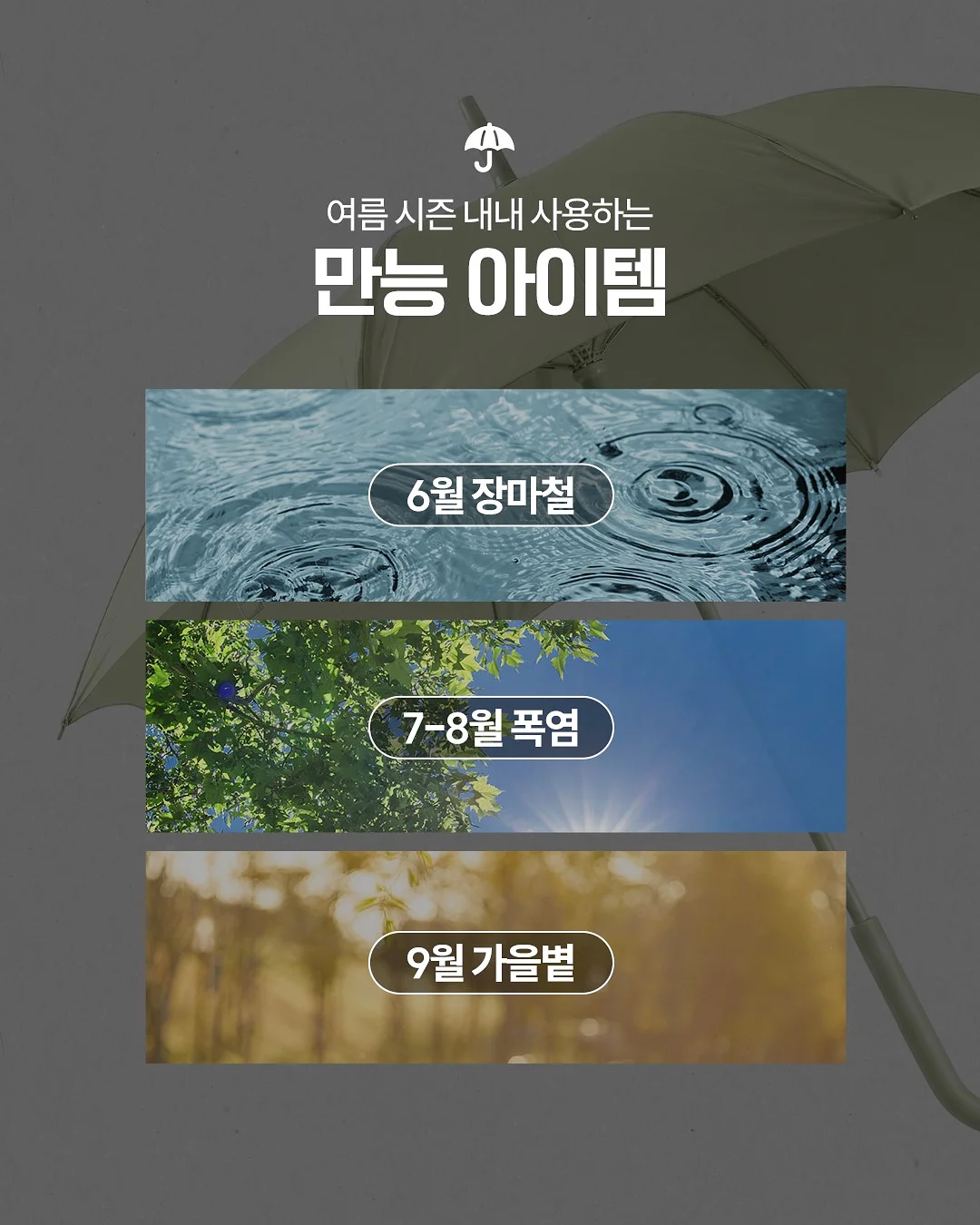 야식 식단 2
