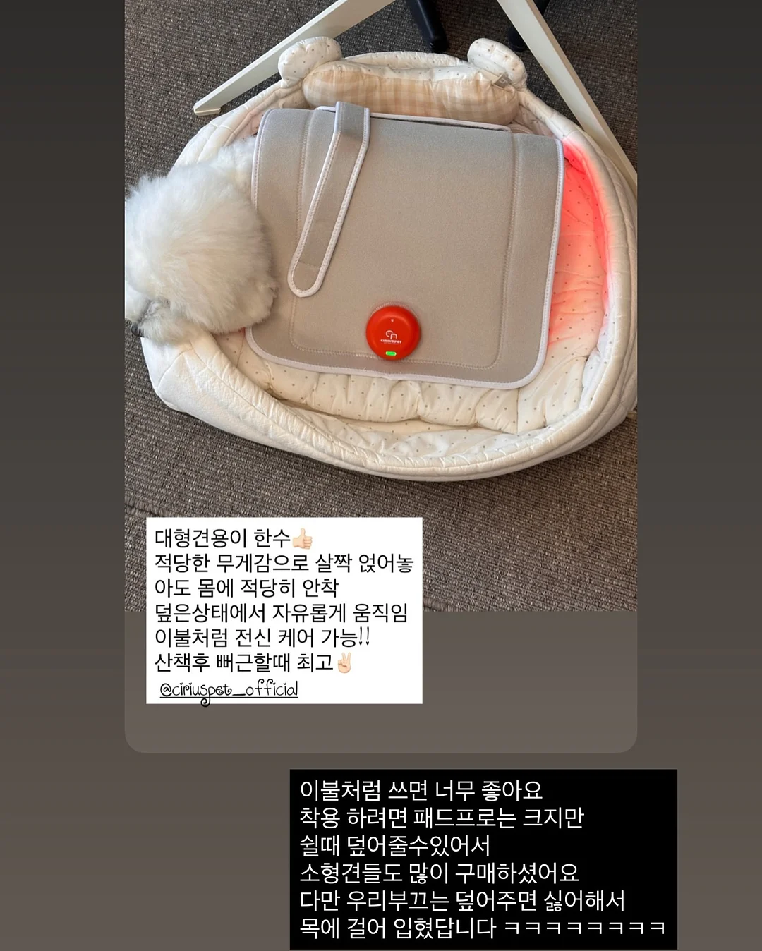 편안하이다입어ops 11