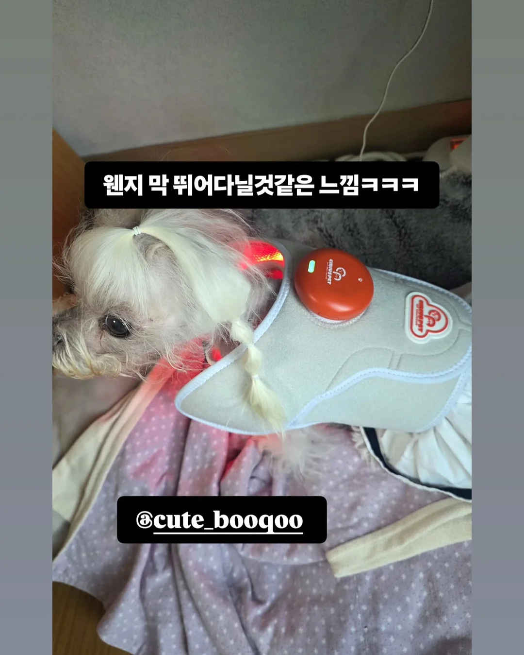 편안하이다입어ops 12
