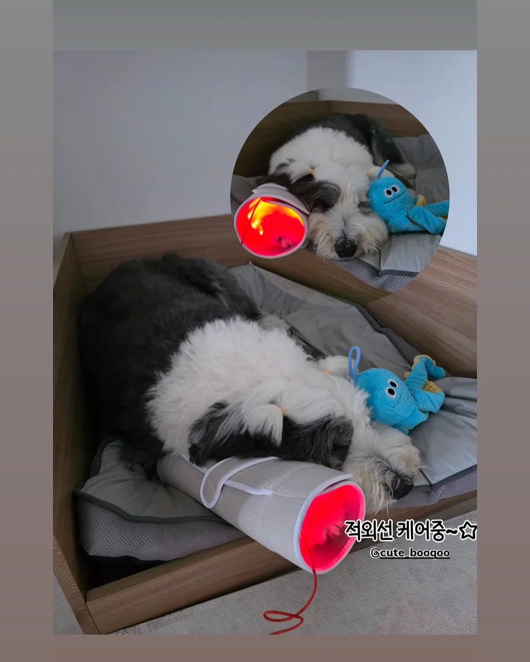 편안하이다입어ops 15