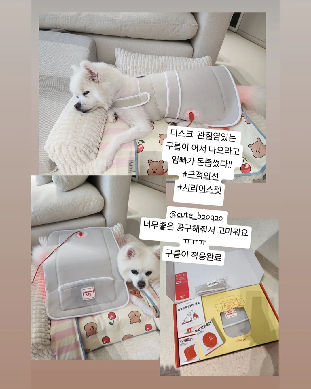 편안하이다입어ops 16
