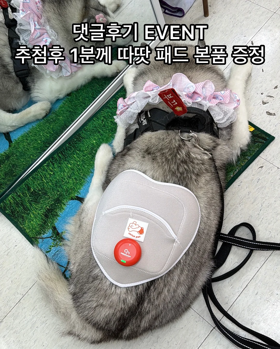 편안하이다입어ops 3
