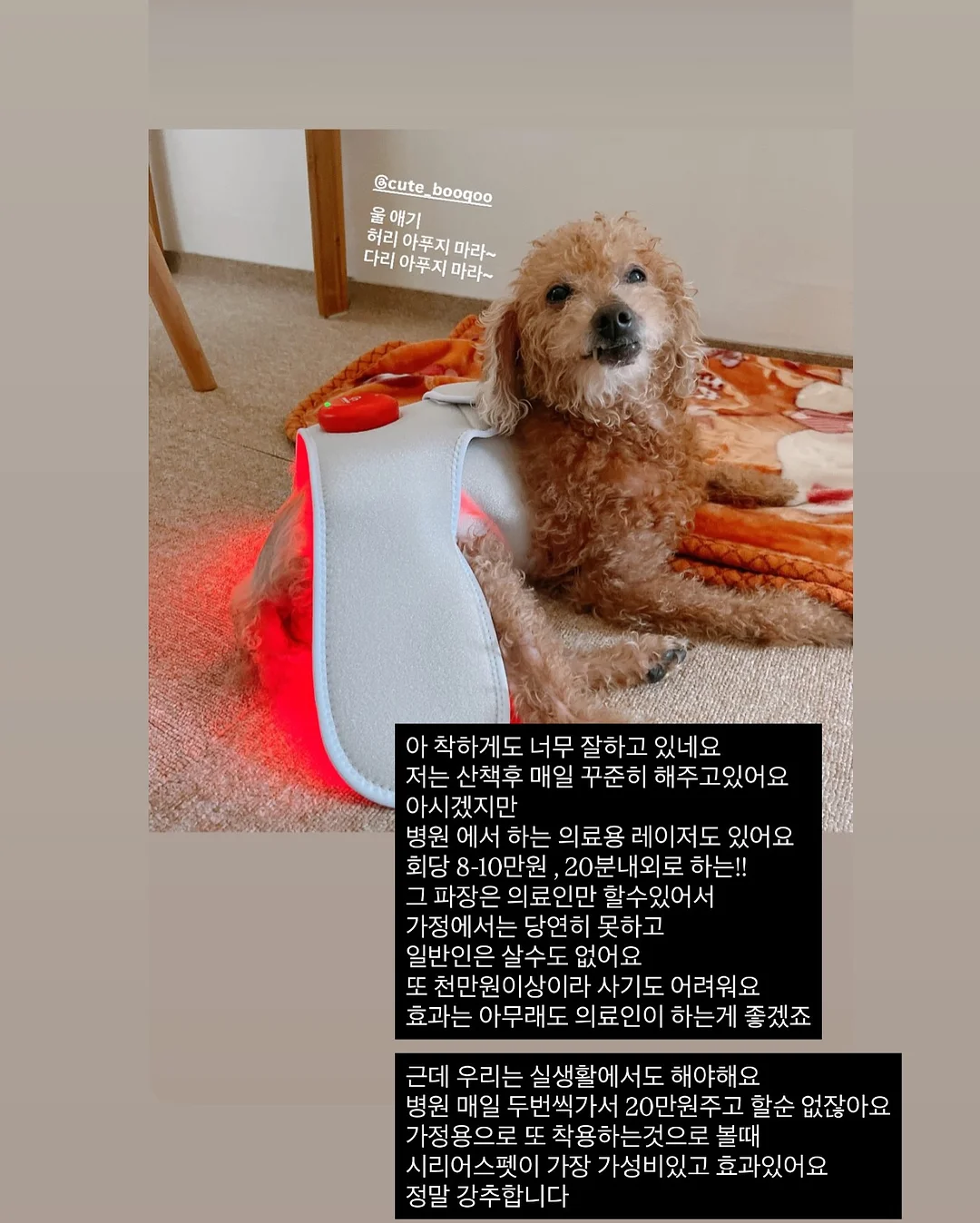 편안하이다입어ops 10