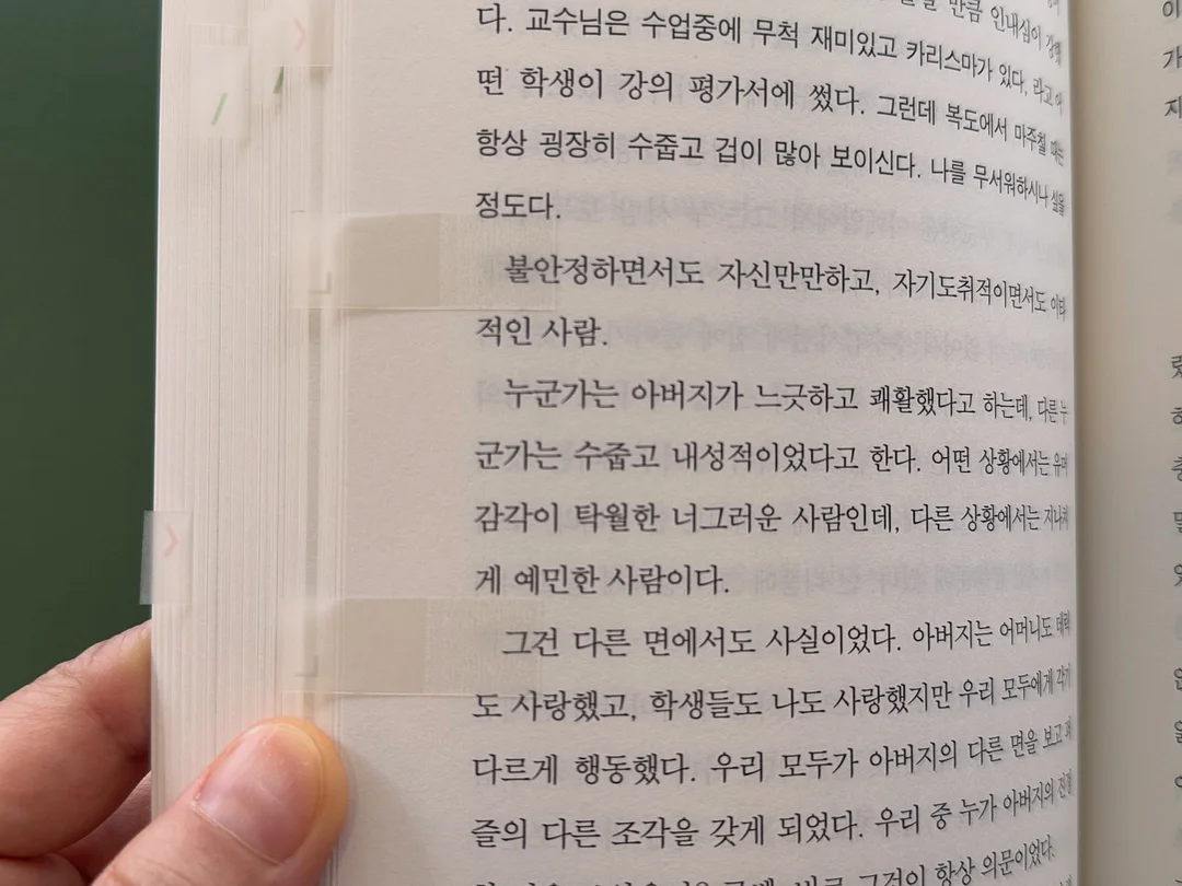반려견 독채민박 8