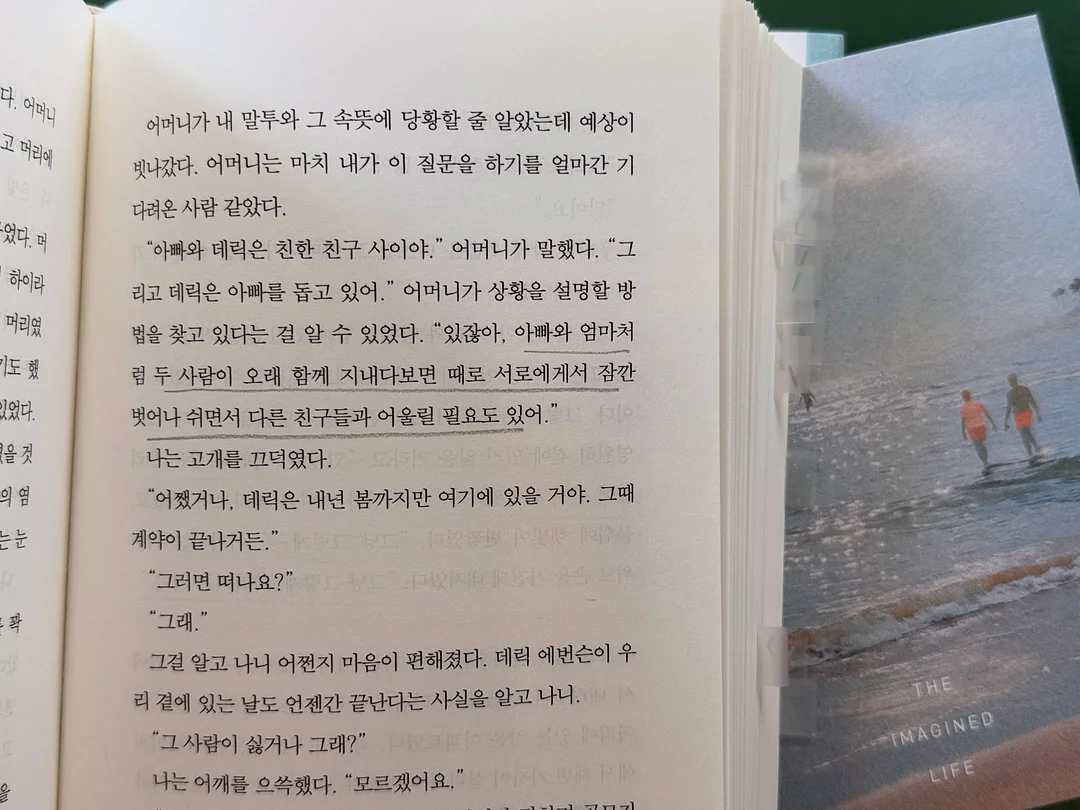 반려견 독채민박 9