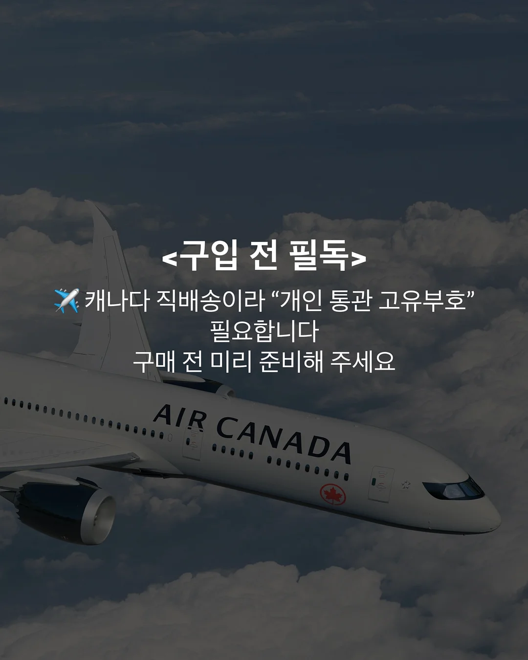카라넥 골프반팔티셔츠 4